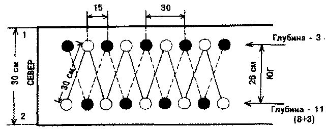 Посадка картофеля схема